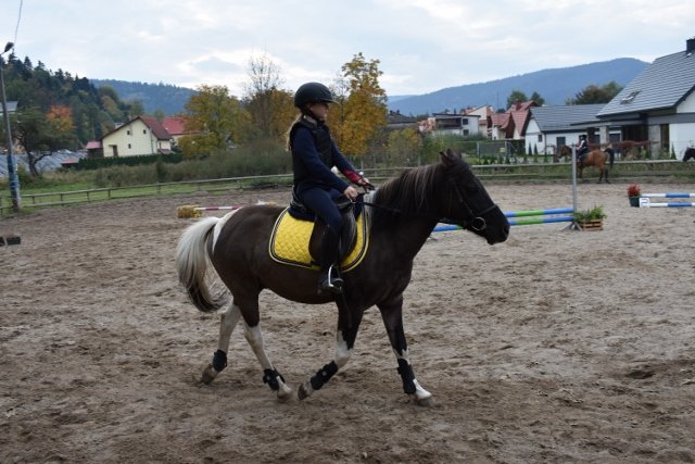 bABIE lATO 2018